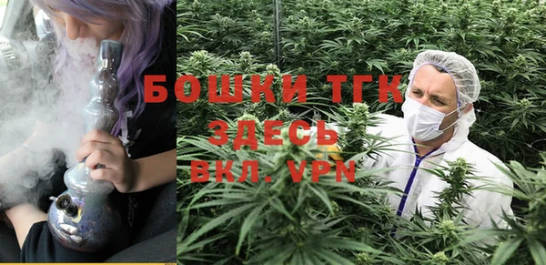 соль ск Алзамай