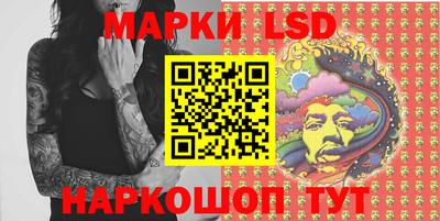 крисы Новодвинск