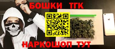 крисы Новодвинск