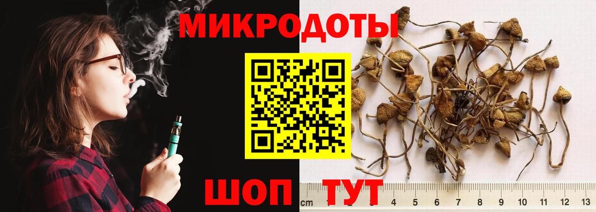 Галлюциногенные грибы Cubensis  Вход с VPN  Осинники 