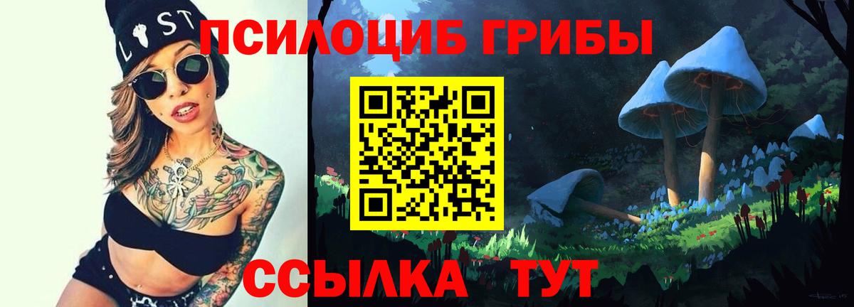 Галлюциногенные грибы GOLDEN TEACHER Осинники